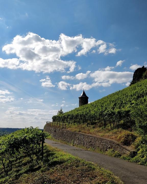 Weinhaus Domstein